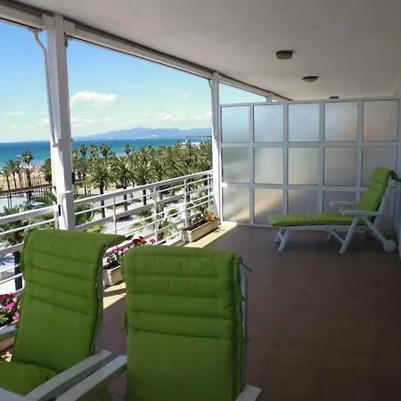 Zeus Alexis Frontal Appartement *