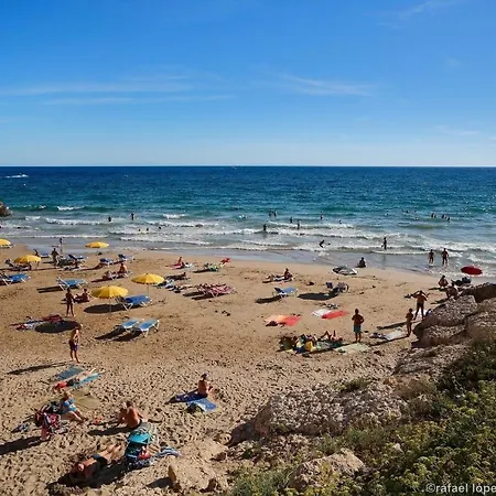 Daire Zeus Alexis Frontal